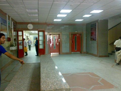 إنطلاق فعاليات برنامج الطيور المهاجرة بمركز أورام طنطا