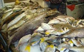 ضبط 3 طن أسماك مملحة فاسدة بالمنيا