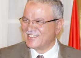 إنهاء أعمال الإنارة والرصف لعدد من القرى بالمنيا