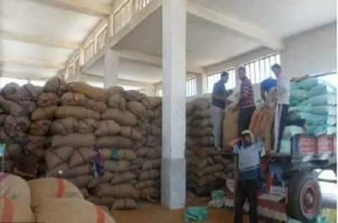 ضبط 40 طن قمح فاسد مخلوط بالحشرات داخل صوامع بالفيوم