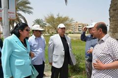 الاسماعيلية تتزين لاحتفالات وأعياد تحرير سيناء