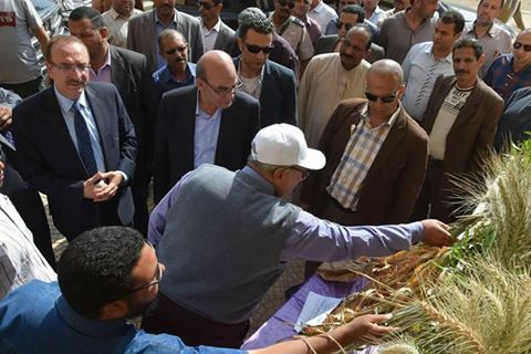 محافظ بني سويف يبحث مع وزير الزراعة خطوات إعادة قرى بني سويف للإنتاج