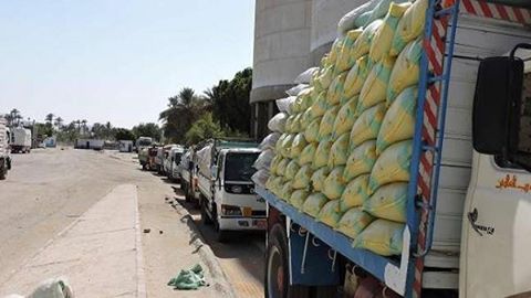 وصول 63 الف طن قمح ” روسى ” لميناء سفاجا