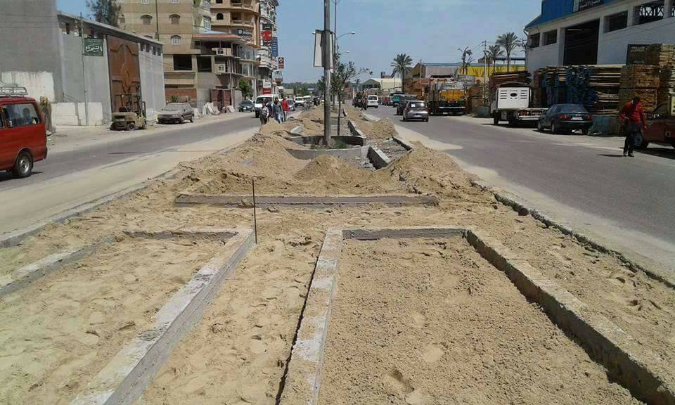 تجميل منطقة مدخل طريق الميناء بالبساتين مركز كفر البطيخ