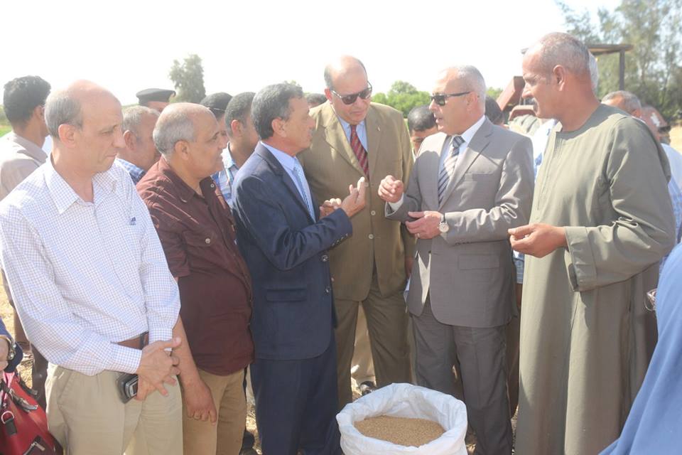 بالصور .. محافظ السويس يتابع موسم حصاد القمح بقري شباب الخريجين
