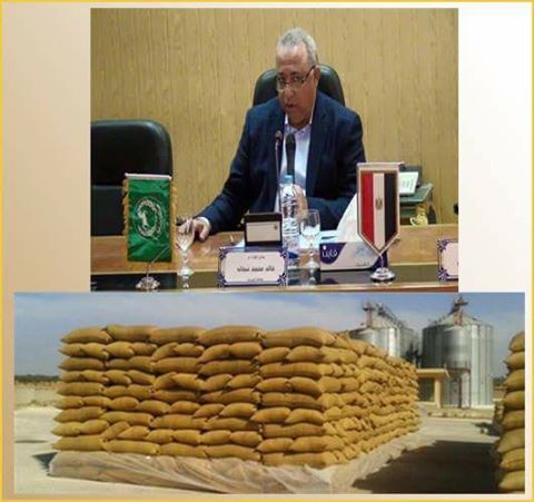 توريد 455327 طن و 443 كيلو قمح للصوامع والشون منذ بدء موسم الحصاد بالشرقية