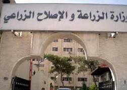 البنا : التنسيق مع محافظ الاسكندرية لعلاج أزمة ”قزق” الأنفوشي