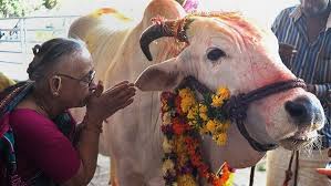 الهند حظرا حكوميا على تجارة الماشية لأغراض الذبح