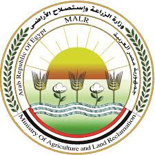 وزارة الزراعة  تحذر من تناول الخوخ المطروح في الاسواق حاليا