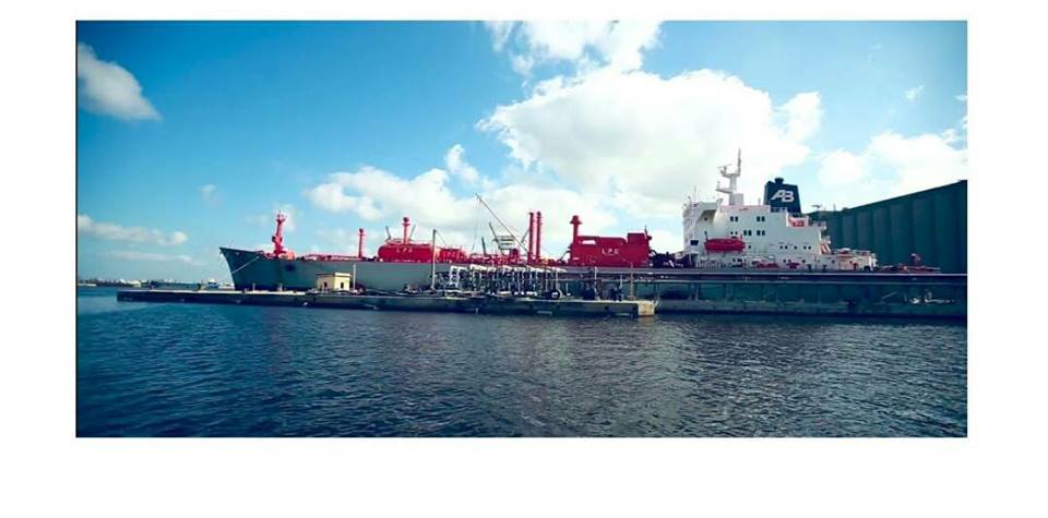 وصول شحنتي قمح وذرة إلي ميناء الإسكندرية