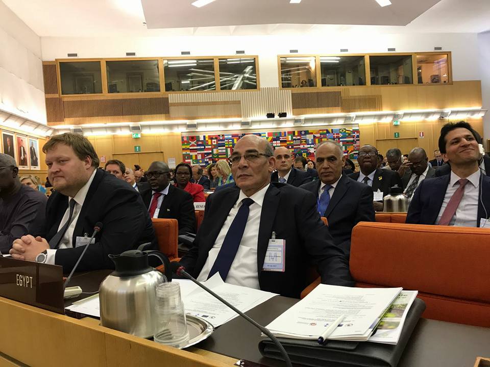 وزير الزراعة من روما يؤكد أهمية الشراكة الأفريقية الأوروبية للنهوض بالثروة الحيوانية