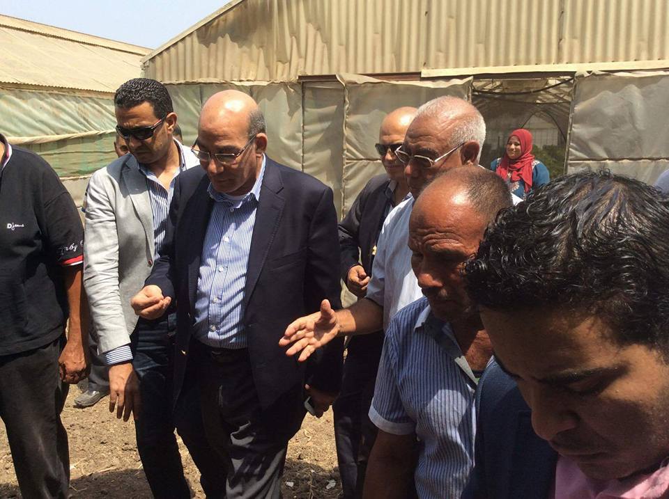 وزير الزراعة يكلف ” البحوث الزراعية” بالتوسع في انتاج التقاوي محليا لتقليل الاستيراد من الخارج