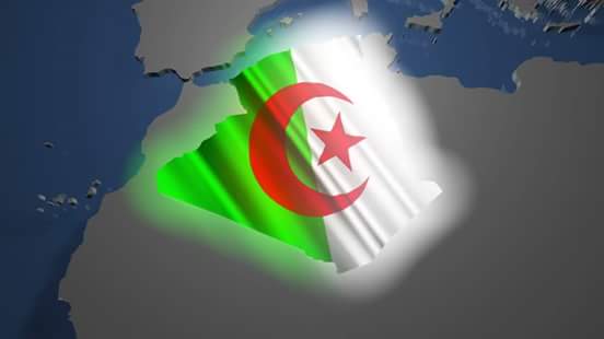 نتائج عمليات تمشيط الأرض في الجزائر