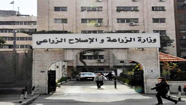 ”الزراعة” تطرح 49 ألف رأس من العجول والأغنام البلدية إستعداداً لعيد الأضحى بأسعار مخفضة