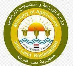 وزير الزراعة يصدر قراراً بتحديد أصناف الأقطان المرخص بحلجها في كل محلج على مستوى 11 محافظة