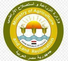 ”البنا”: الغاء اجازات للعاملين بحماية الأراضي