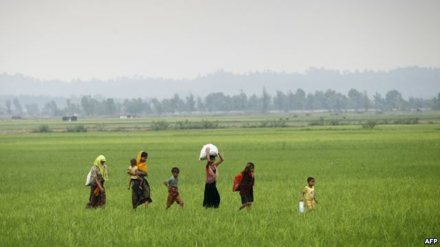حكومة بنغلادش تحتج على زرع الغام ارضية فى حدودها مع بورما