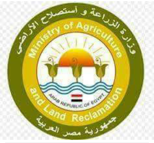 وزير الزراعة يوجه ”محرز” و”القصير” بعقد اجتماع عاجل لمجلس إدارة البتلو