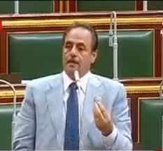 أبو زهاد يطالب الحكومة المصرية بإثارة ملف الإبادة الجماعية لمسلمي الروهينجا في مجلس الأمن 