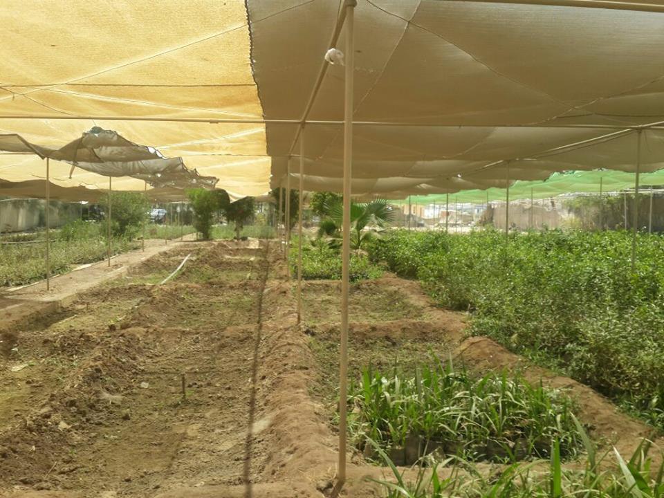 وزير الزراعة يتفقد مشروع انتاج البيض الخالي من المسببات المرضية