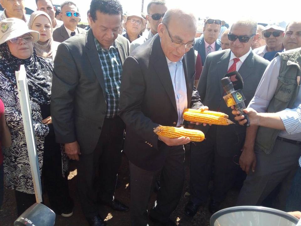 وزير الزراعة ومحافظ كفر الشيخ يشهدان يوم حقلي لمحصول الذرة بمحطة بحوث سخا