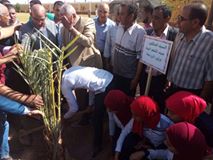 البنا” يشهد إطلاق مبادرة زراعة النخيل بمدارس الوادي الجديد