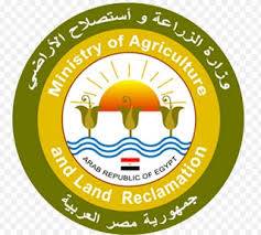 الزراعة: حرمان مزارعي القطن غير الملتزمين من علاوة الإكثار