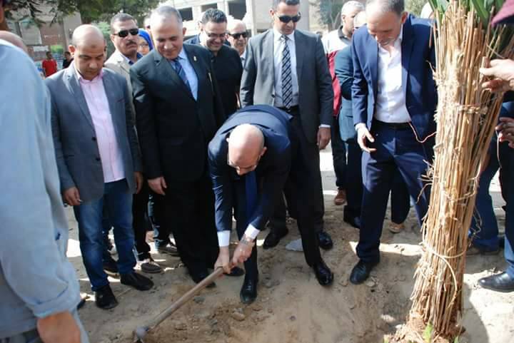 وزيرا الزراعة والري يطلقان حملة قومية لزراعة النخيل والتوت والزيتون بالمدارس 