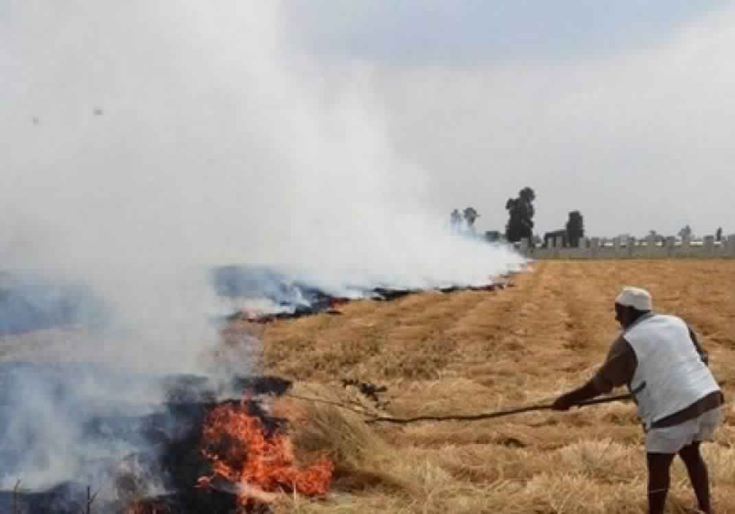 تقرير البيئة حول ”مواجهة التلوث الناتج عن حرق قش الارز ”