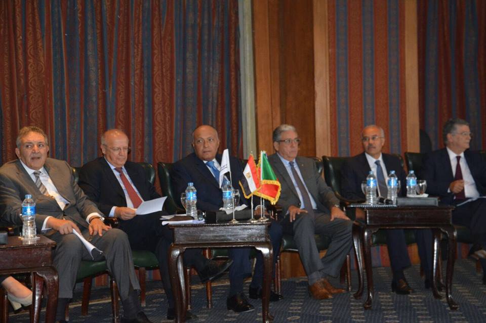 شكري: إرادتنا المشتركة تشكل قوة دفع رئيسية لتعزيز التعاون بين البلدين