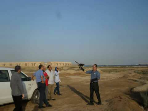 البيئة: إعادة إطلاق ٤ صقور إلى بيئتها الطبيعية