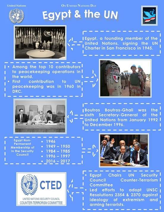 مصر تؤكد أهمية احترام المقاصد والأهداف التي نشأت عليها المنظمة.