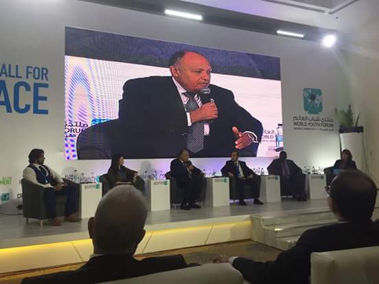 وزير الخارجية : دور مصر الإقليمي والدولي ينطلق من مسئولياتها كدولة محبة وراعية للسلام