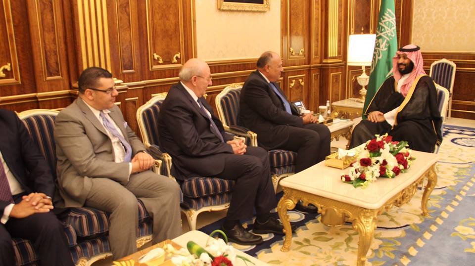 وزير الخارجية يلتقي ولي عهد السعودية ناقلا رسالة شفهية من السيسي 