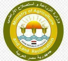 رسميا.. ”الزراعة” تنجح في فتح سوق جديدة للموالح المصرية في فيتنام