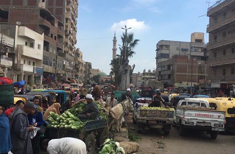 يا مرور البحيرة رفقاً بشبراخيت
