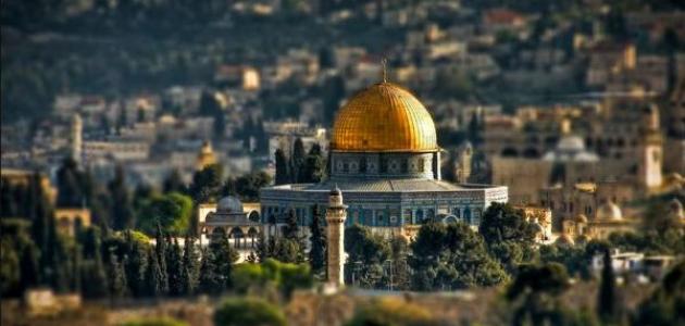 شعوب الأرض مع القدس محاضرة بثقافة الفيوم