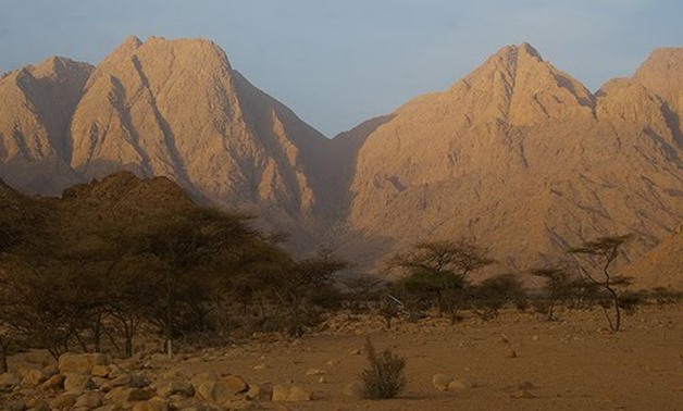 حديقة جبل إلبا الوطنية : جنة مصر التي لا تنسى