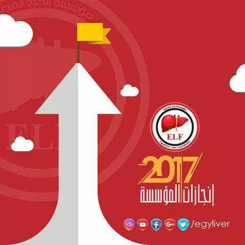 10 انجازات لمؤسسة الكبد المصري فى عام2017