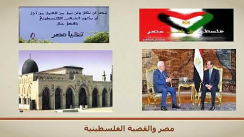 وزارة الشباب والرياضة تطلق مسابقة للتوعية بجذور القضية الفلسطينية