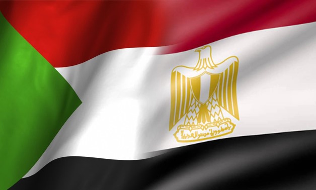 رئيس وفد السودان يشكر مصر على جهود حفظ السلام