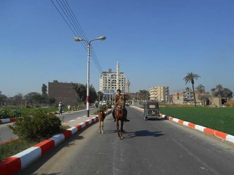 الوحدة المحلية لمركز ومدينة جهينة تقوم بحملات نظافة وترميم وتجديد لمداخل جهينة بسوهاج