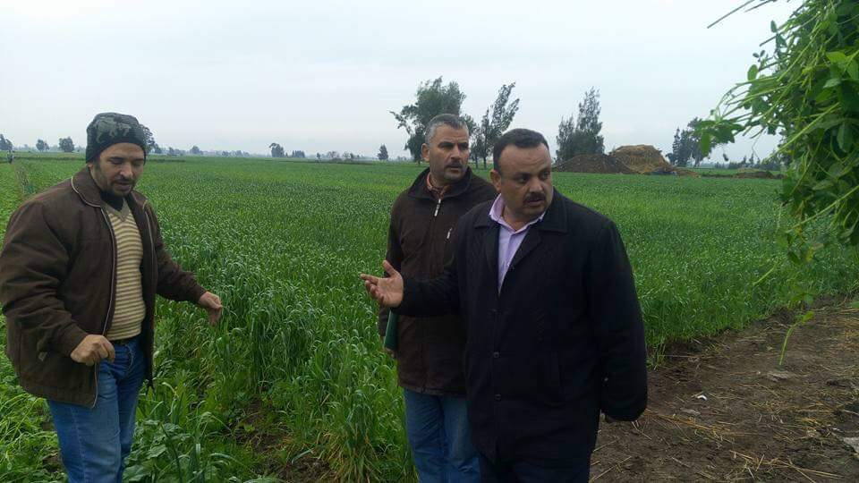بدء  إجراءات إنشاء محطة الصرف الصحي بأبو السحما