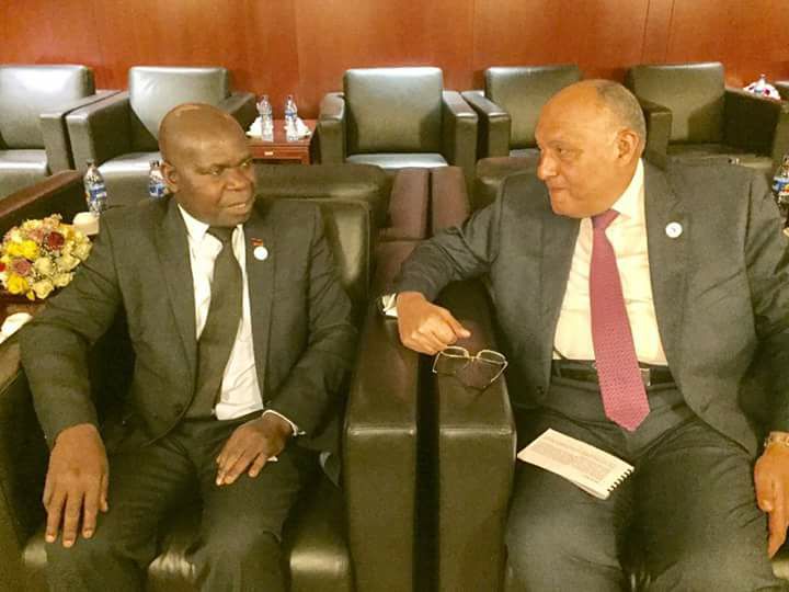 شكري يبحث مع وزير خارجية مالاوي العلاقات الثنائية والقضايا الإقليمية