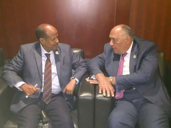 وزير الخارجية يبحث التعاون الثنائي والقضايا الإقليمية مع وزير خارجية جيبوتي