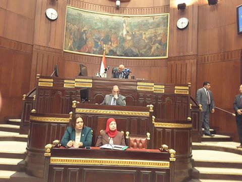 رئيس تضامن النواب : نسعى لدمج الشباب وإعادة تأهيلهم لمساندة الدولة فى البناء والتنمية