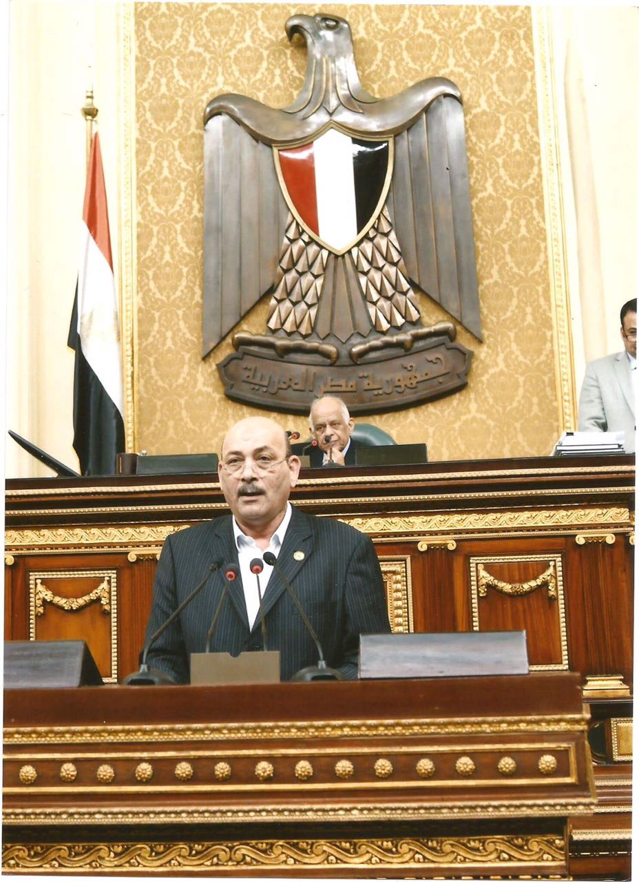 النائب أحمد الجزار: الرئيس السيسي تحدث اليوم كرجل دولة يحافظ على وطنه بكل حزم وقوة