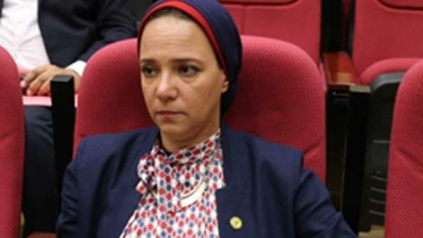 نانسى نصير : بدء إنتاج الغاز من حقل ظهر إنجاز تاريخى فى عهد السيسى