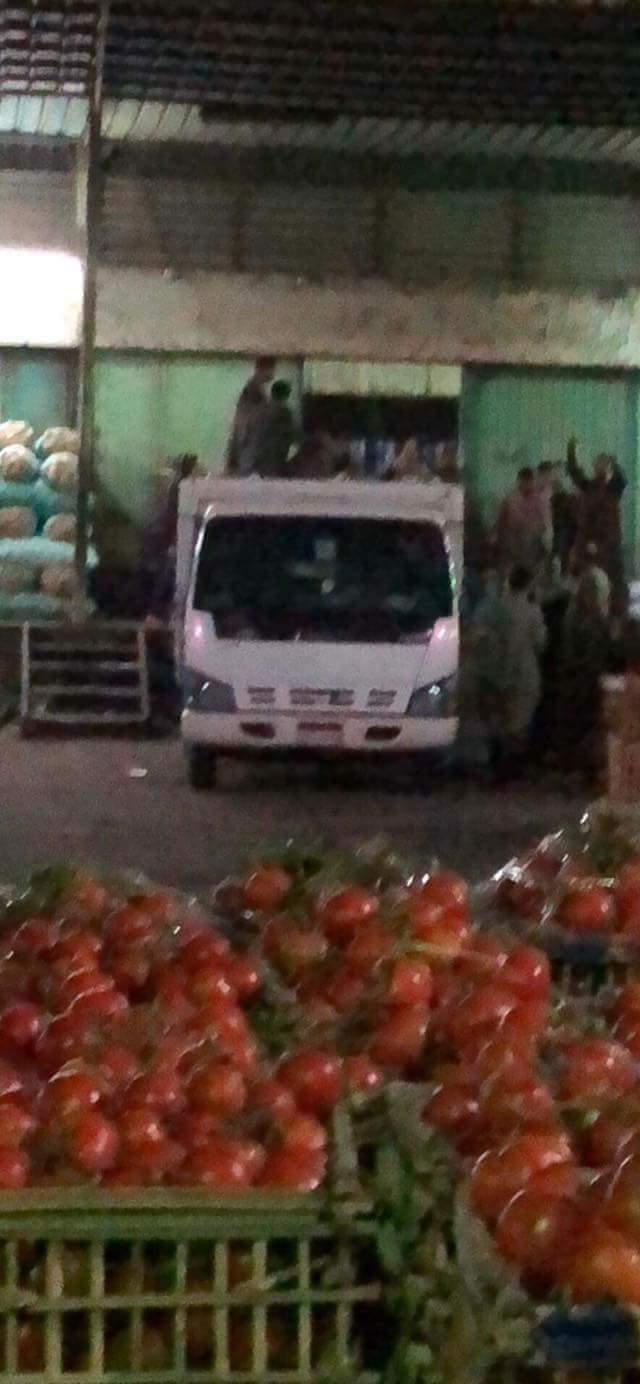 بالصور... تجهيز قافلة غذائية من سوق العبور لأهالى شمال سيناء بالمجان