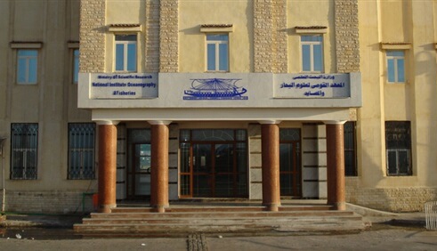 ختام الدورة التدريبية للاستزراع السمكي في مياه الآبار بمحافظة جنوب سيناء